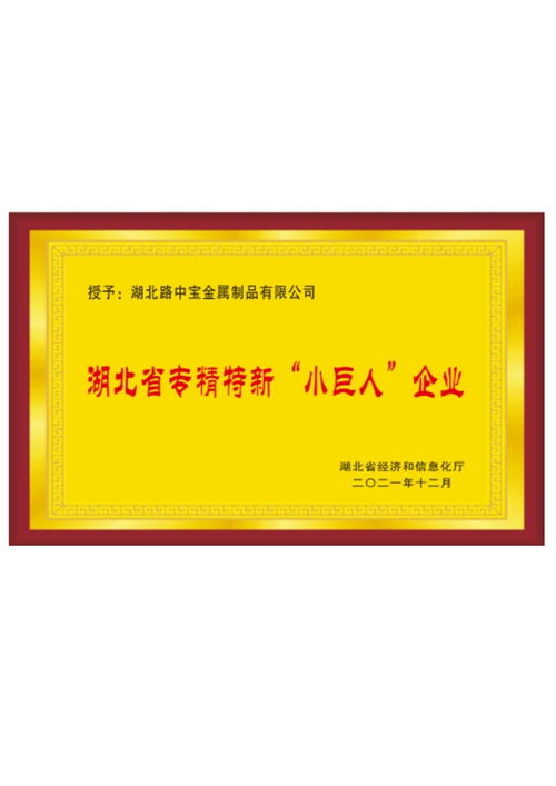 专精特新&ldquo;小巨人&rdquo;企业